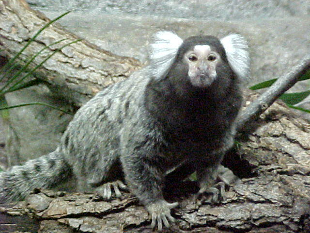 Look at me I look marvelous dont I